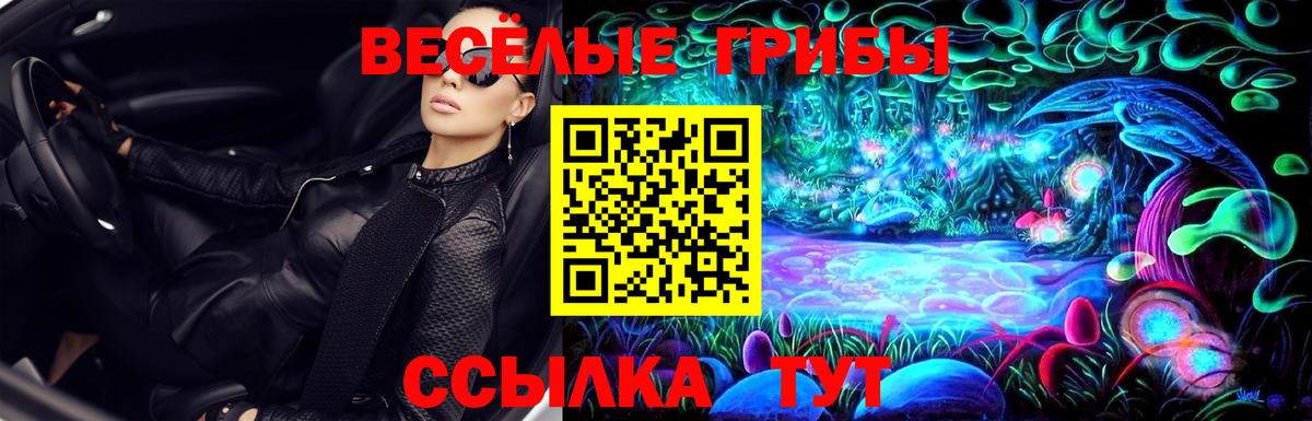 Галлюциногенные грибы Cubensis Лысьва