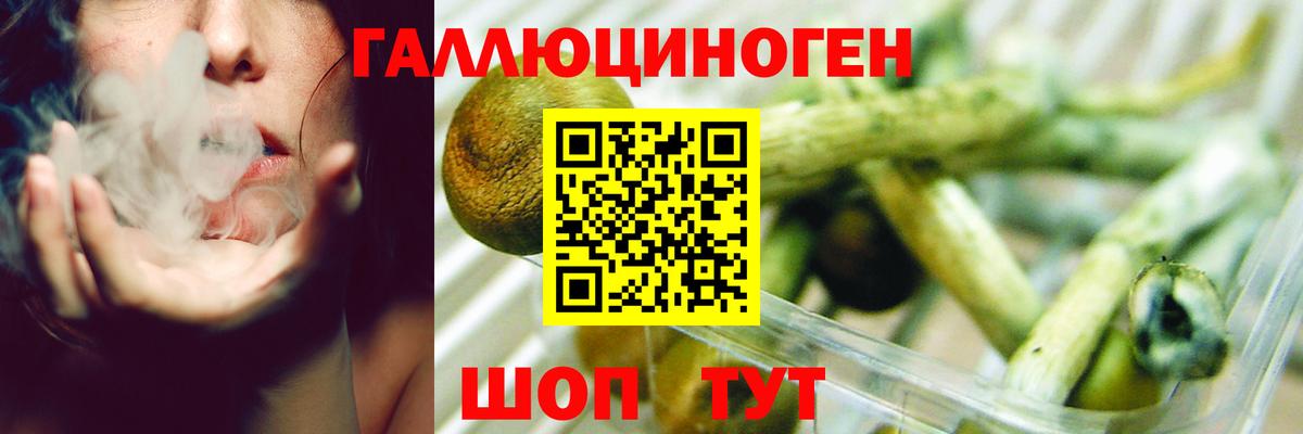 Псилоцибиновые грибы Psilocybine cubensis  где найти наркотики  Псилоцибиновые грибы Magic Shrooms  Лысьва  Вход с VPN 